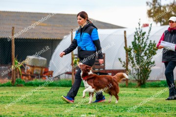 IMG_1205.jpg