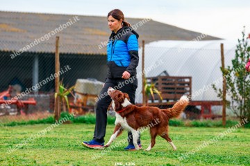 IMG_1209.jpg
