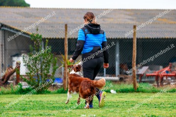 IMG_1219.jpg