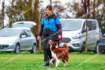 IMG_1250.jpg