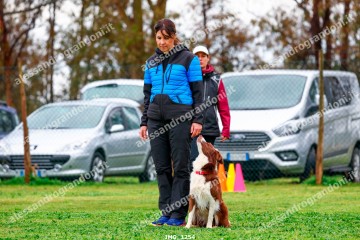 IMG_1254.jpg