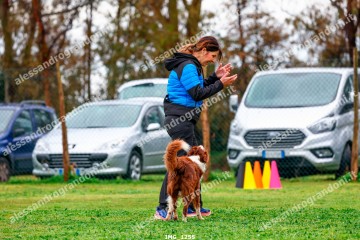 IMG_1255.jpg