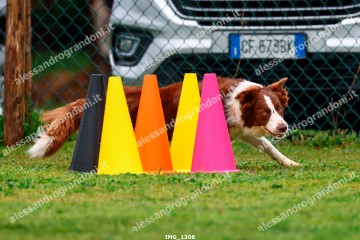 IMG_1308.jpg