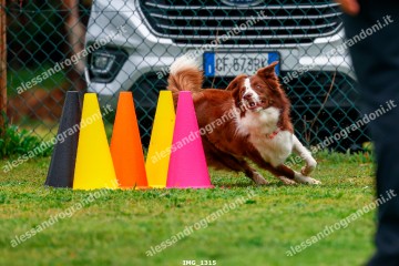 IMG_1315.jpg