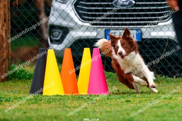 IMG_1318.jpg