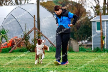 IMG_1341.jpg