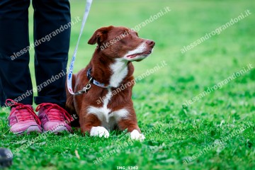IMG_1362.jpg