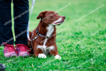 IMG_1365.jpg