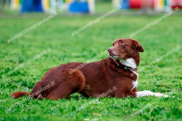 IMG_1373.jpg