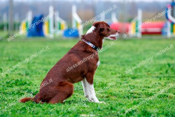 IMG_1385.jpg