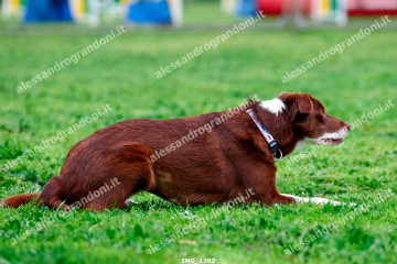 IMG_1392.jpg