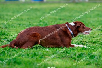 IMG_1399.jpg