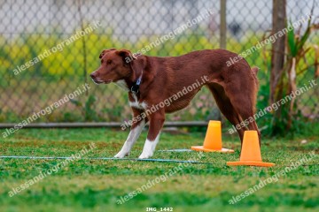 IMG_1442.jpg