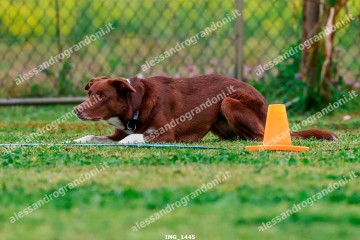 IMG_1445.jpg