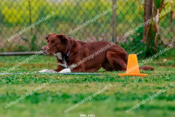 IMG_1451.jpg