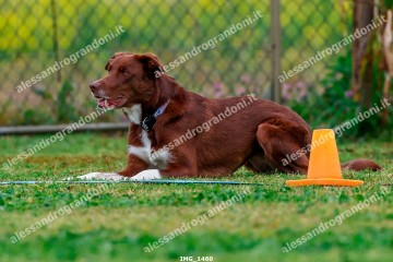 IMG_1460.jpg