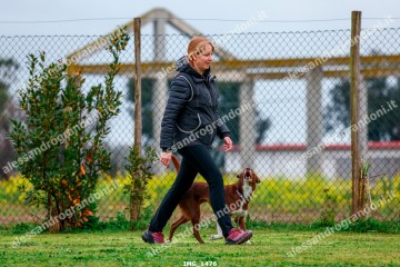 IMG_1476.jpg