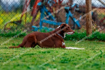 IMG_1486.jpg