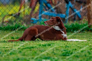 IMG_1501.jpg