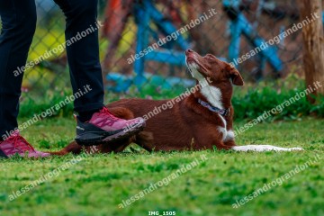 IMG_1505.jpg