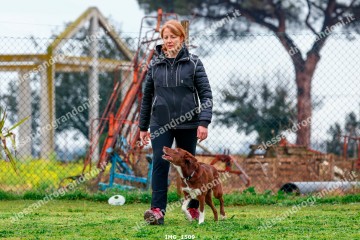 IMG_1509.jpg