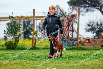 IMG_1512.jpg