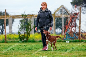 IMG_1520.jpg