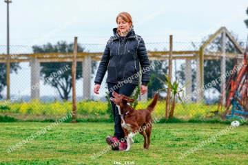 IMG_1525.jpg