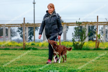 IMG_1532.jpg