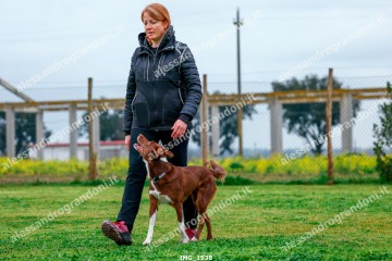 IMG_1538.jpg