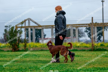 IMG_1543.jpg