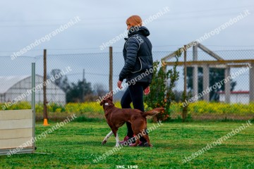IMG_1548.jpg
