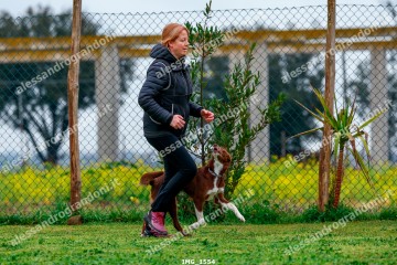 IMG_1554.jpg