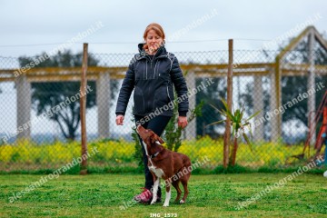 IMG_1573.jpg