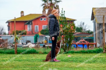 IMG_1581.jpg