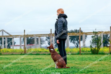 IMG_1585.jpg