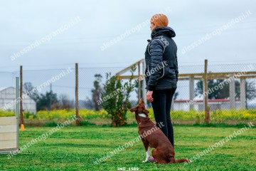 IMG_1589.jpg