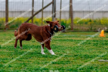 IMG_1616.jpg