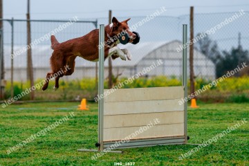 IMG_1627.jpg