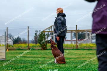 IMG_1640.jpg