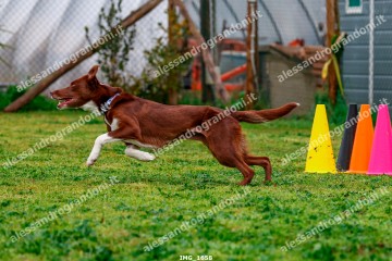 IMG_1658.jpg