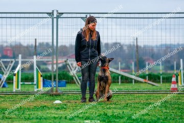 IMG_1716.jpg