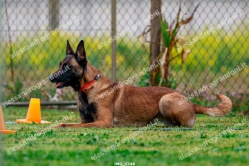 IMG_1746.jpg