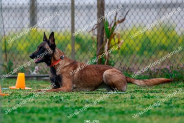 IMG_1751.jpg