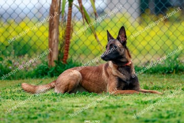 IMG_1792.jpg