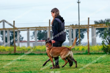 IMG_1874.jpg