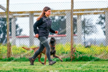IMG_1888.jpg