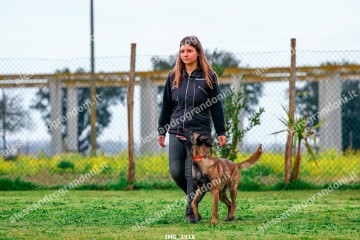 IMG_1918.jpg