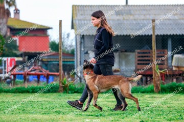 IMG_1933.jpg