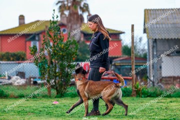 IMG_1937.jpg